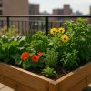 Créez un carré potager productif et facile