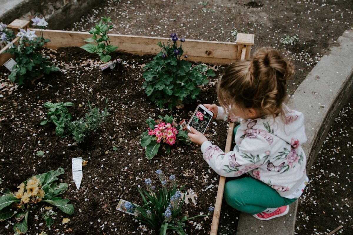 brise vue jardin : idées modernes et pratiques