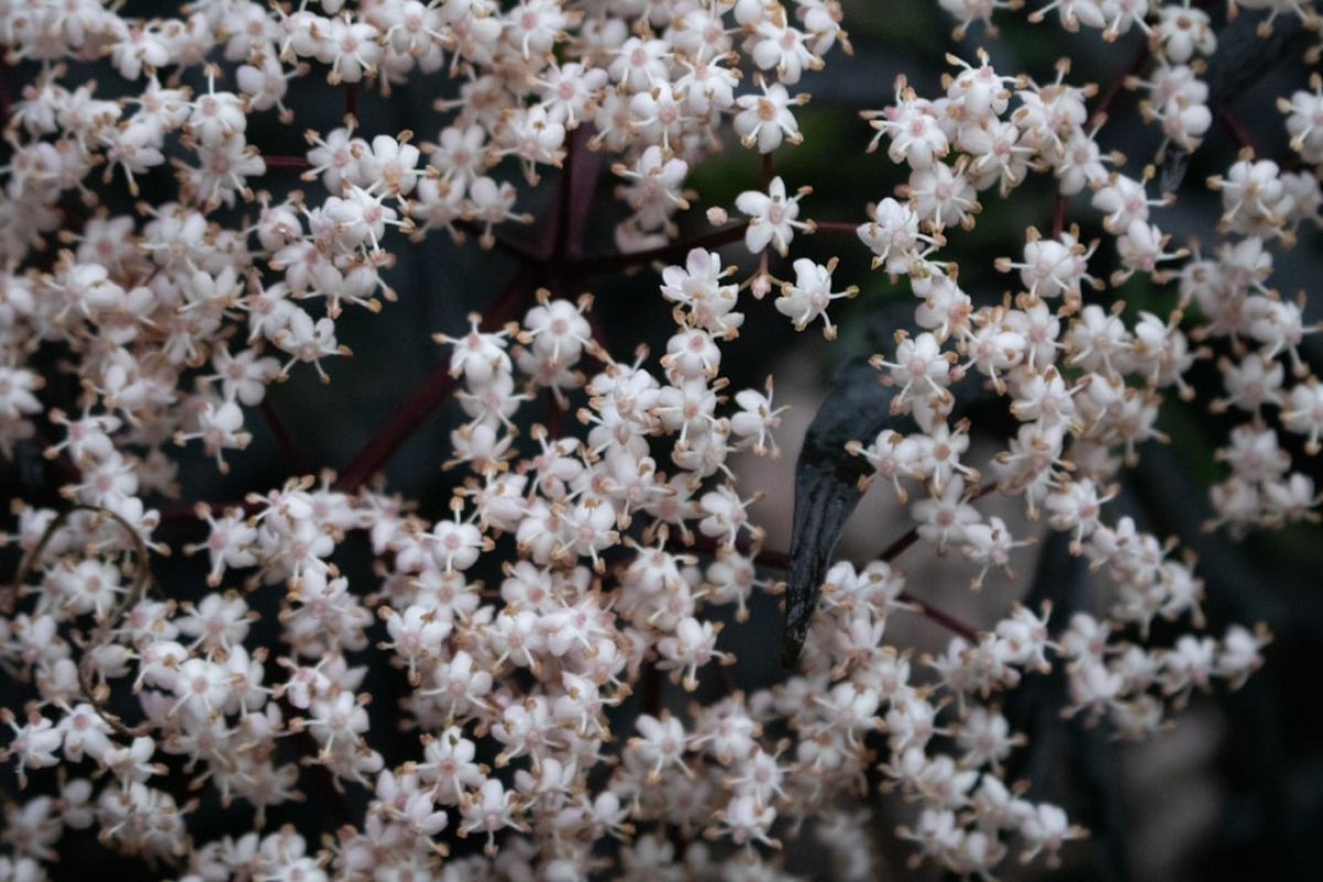 Créer une bordure de jardin élégante facilement