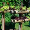 Créez un potager sur pied pratique et design