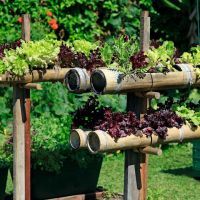 Créez un potager sur pied pratique et design