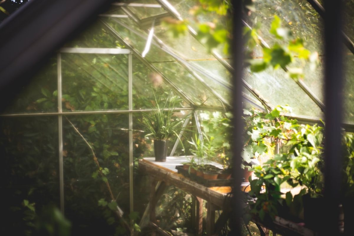 aménagez votre serre de jardin facilement