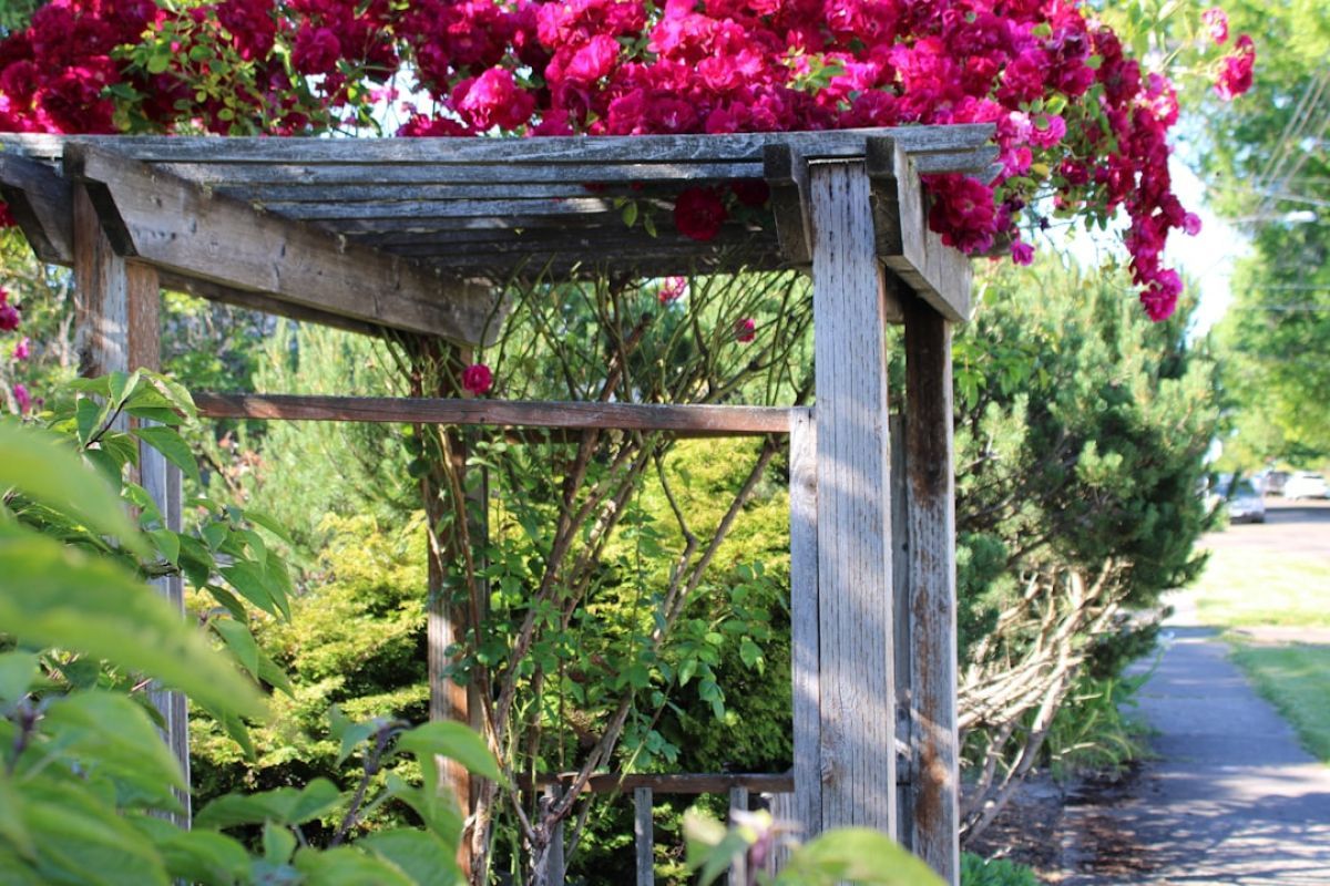 Installer une pergola soi-même facilement